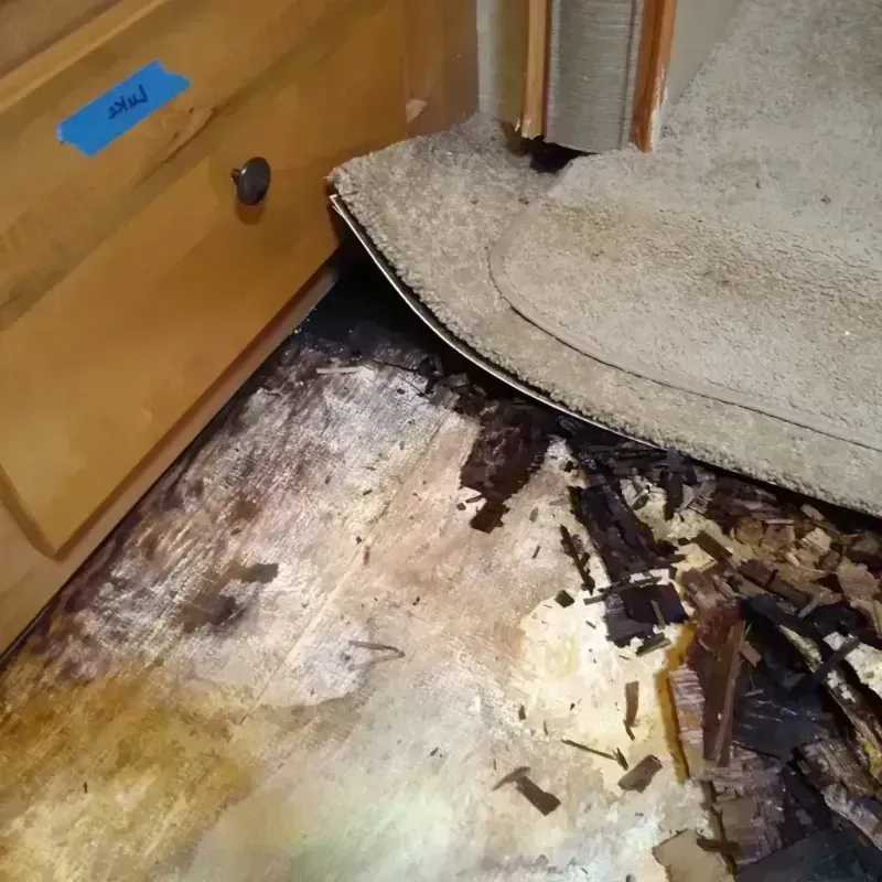 Best Wood Floor Water Damage Service in Hilbert, WI